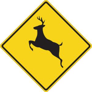 How to lower your risk for a deer collision in Opelousas, LA
