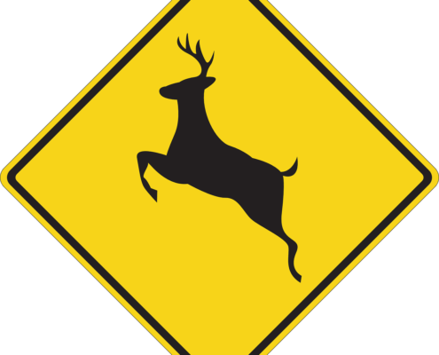 How to lower your risk for a deer collision in Opelousas, LA