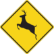 How to lower your risk for a deer collision in Opelousas, LA